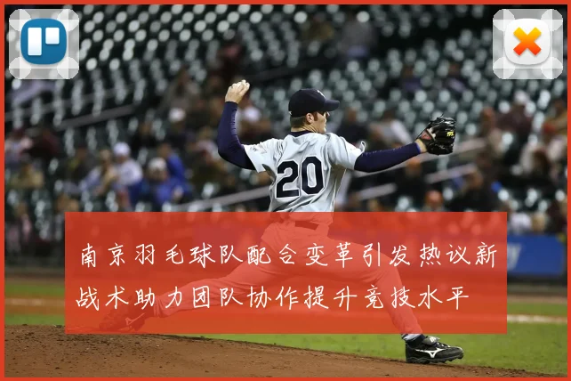 南京羽毛球队配合变革引发热议新战术助力团队协作提升竞技水平