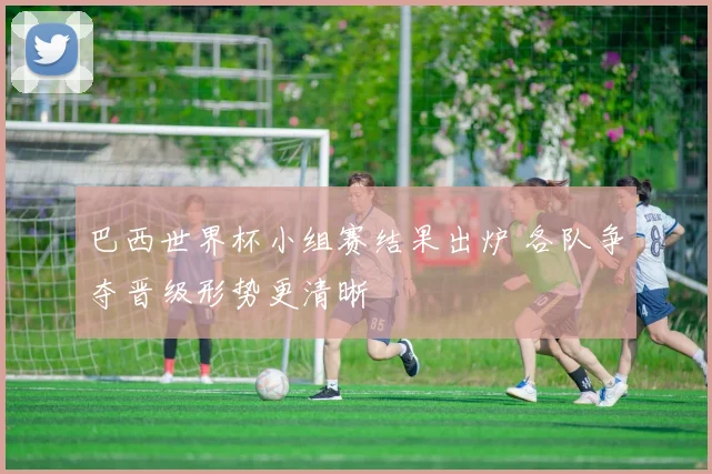 巴西世界杯小组赛结果出炉 各队争夺晋级形势更清晰