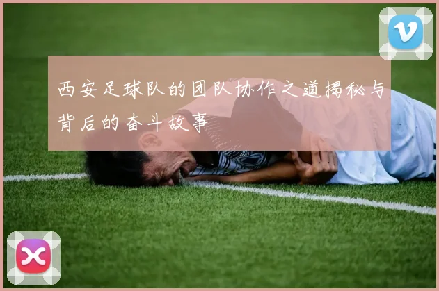 西安足球队的团队协作之道揭秘与背后的奋斗故事