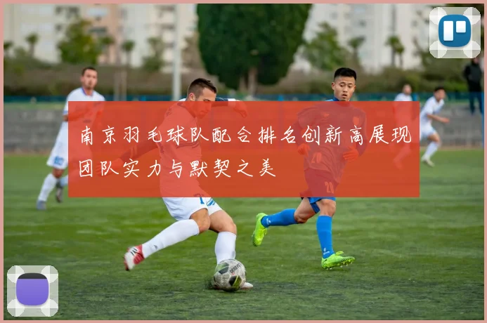 南京羽毛球队配合排名创新高展现团队实力与默契之美