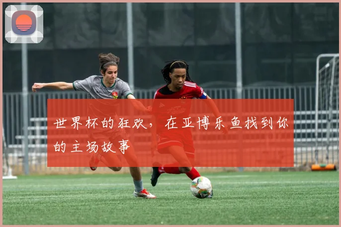 世界杯的狂欢,在亚博乐鱼找到你的主场故事