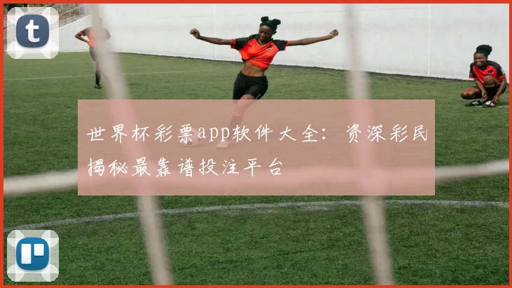 世界杯彩票app软件大全：资深彩民揭秘最靠谱投注平台