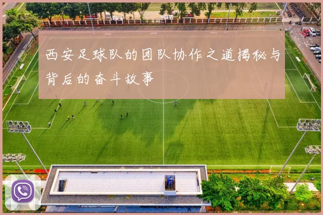 西安足球队的团队协作之道揭秘与背后的奋斗故事